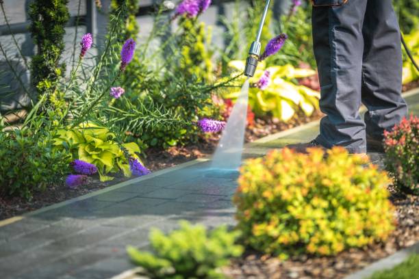 Best Animal Enclosure Cleaning  in Perezville, TX