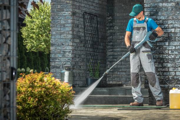 Best Driveway Pressure Washing  in Perezville, TX
