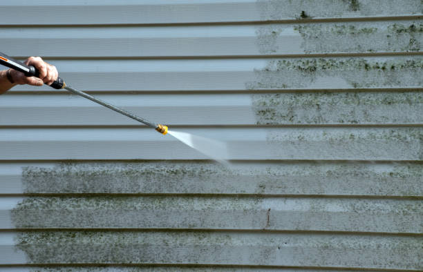 Best Patio and Deck Pressure Washing  in Perezville, TX